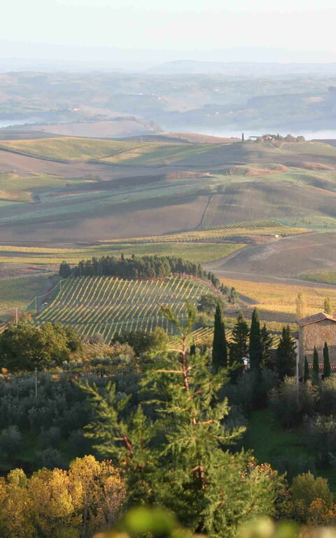 Villa Montalcino: Ansichten