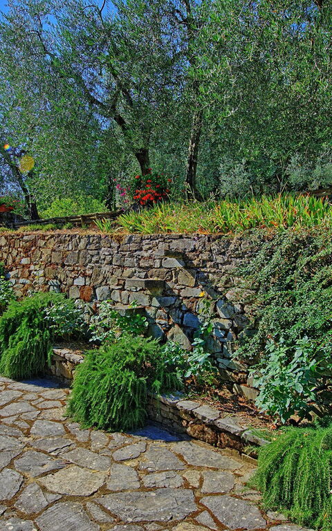 Villa Montalcino: Garten