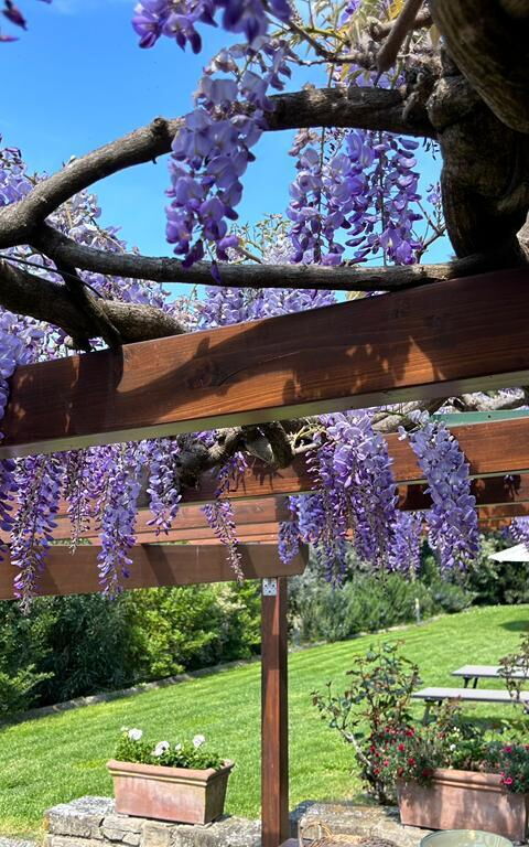 Antico Casale: Außen, Balkon / Terrasse / Patio, Draussen