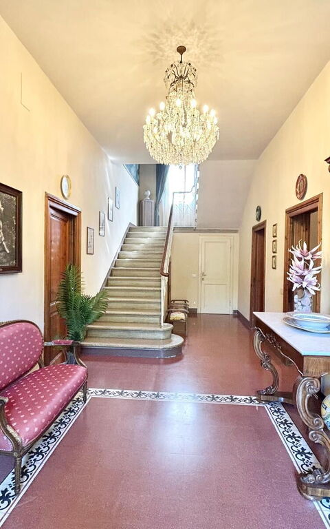 Villa Primula: Anderer Raum