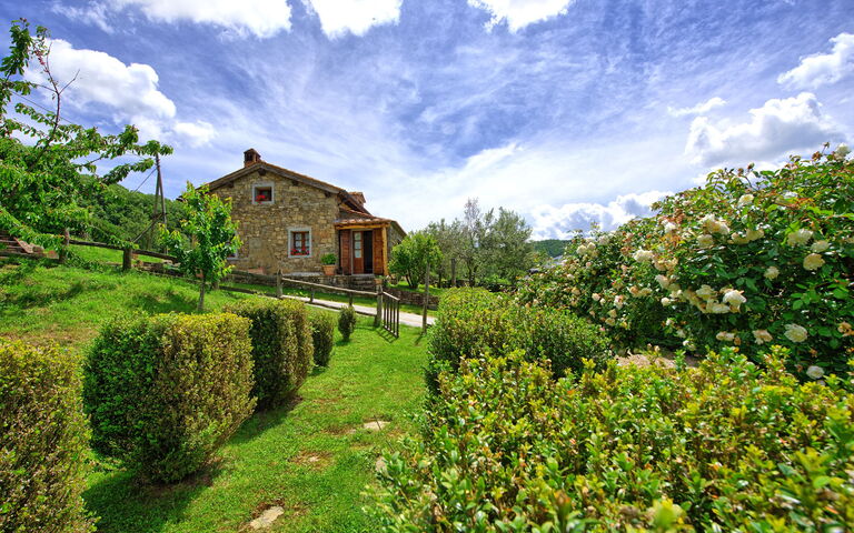 Villa Margherita Due: Draussen, Garten