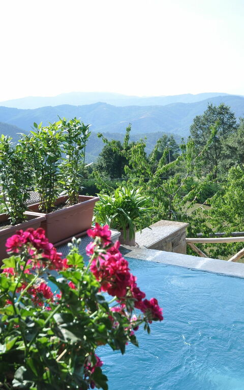 Villa Margherita Tre: Schwimmbad