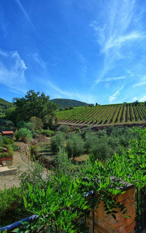 Casa Maria Luisa: Ansichten