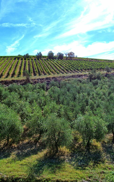 Casa Maria Luisa: Ansichten