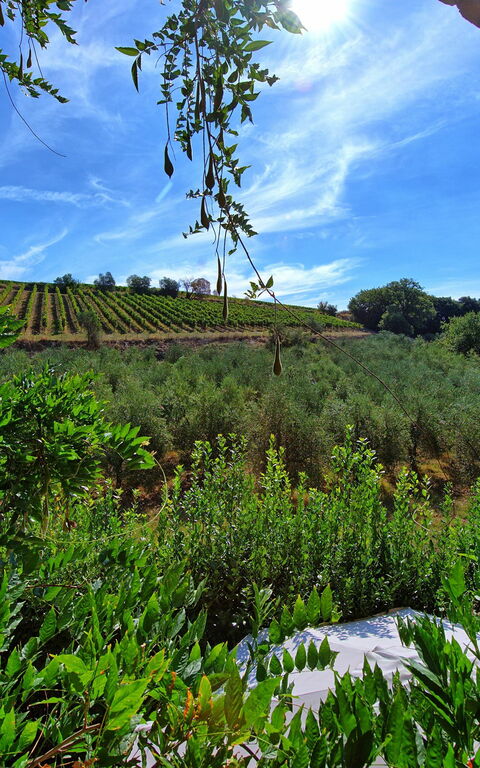 Casa Maria Luisa: Ansichten