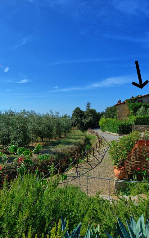 Casa Maria Luisa: Draussen