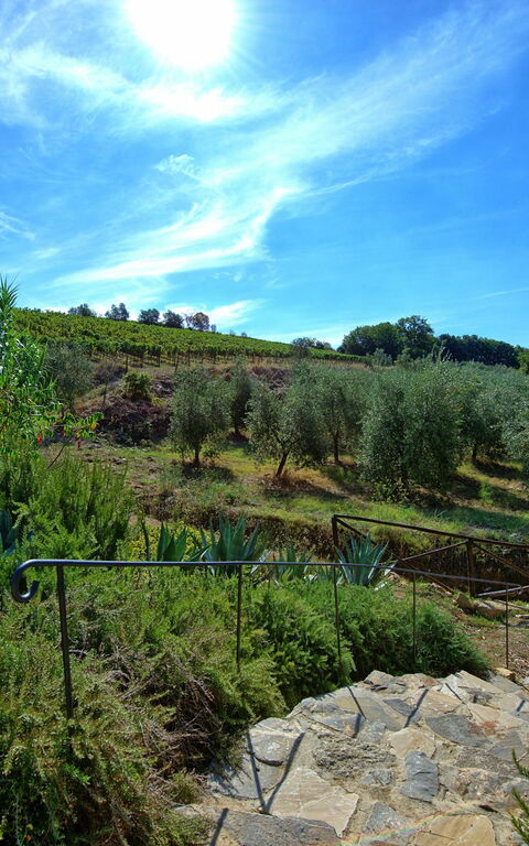 Casa Maria Luisa: Ansichten