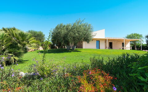 Unterkunft Isla Verde - Ulivi: Außen, Draussen, Garten