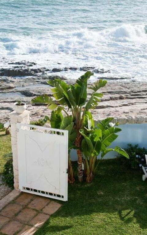 Villa Antares: Garten