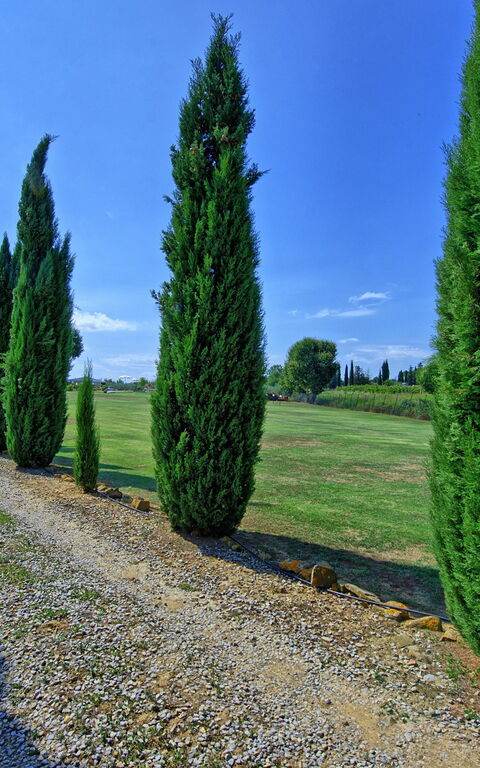 Casa Catia: Ansichten