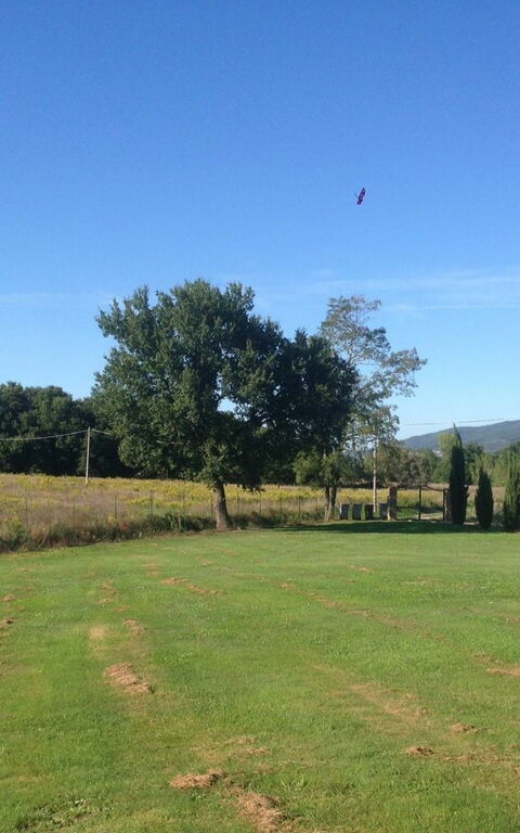 Casa Catia: Ansichten, Garten