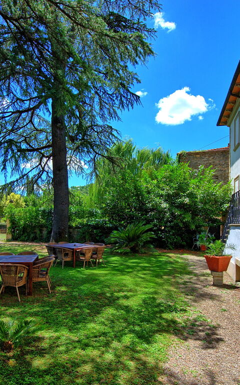 Villa Capolona: Draussen, Garten