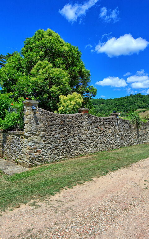 Villa Capolona: Draussen