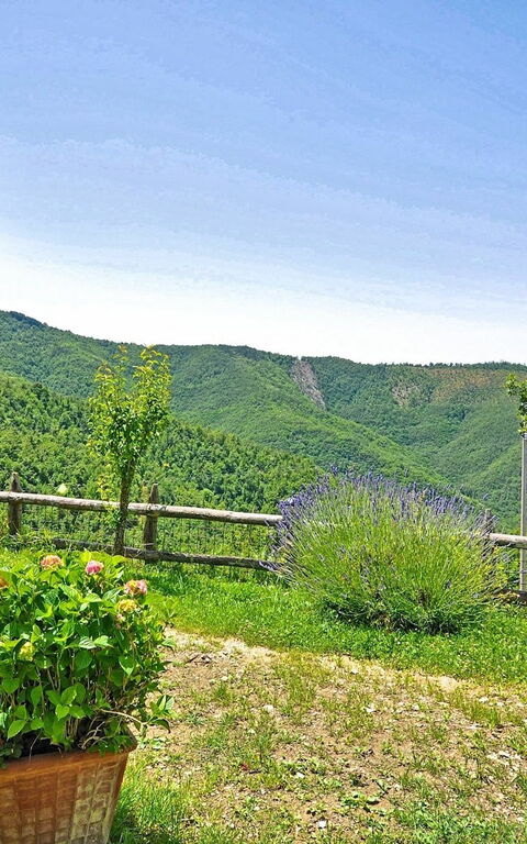 Villa Margherita Uno: Garten