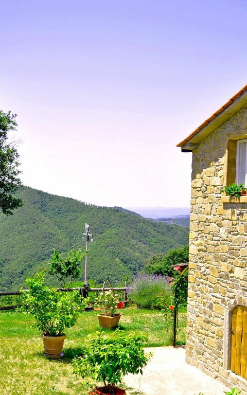 Villa Margherita Uno: Außen, Garten