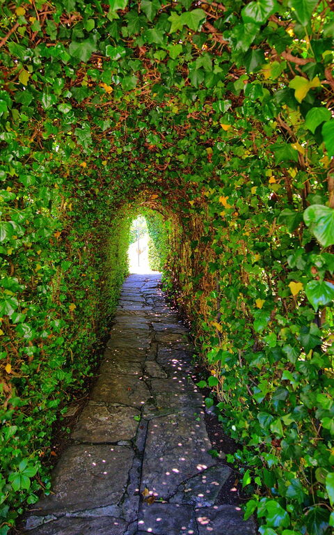 Villa Portole Uno: Garten