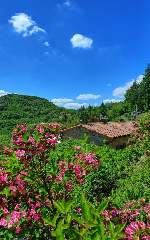 Villa Portole Due: Ansichten