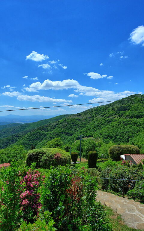 Villa Portole Due: Ansichten, Garten