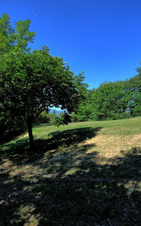 Casale Giotto: Garten