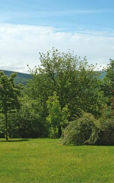 Villa Marika: Garten