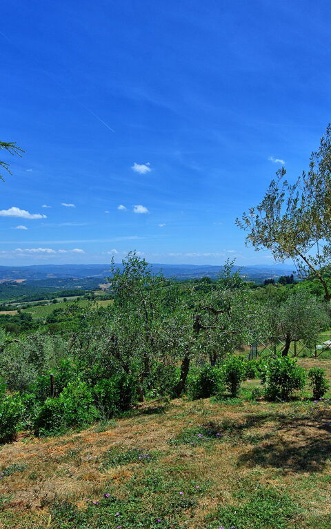 Casa Olivia: Ansichten