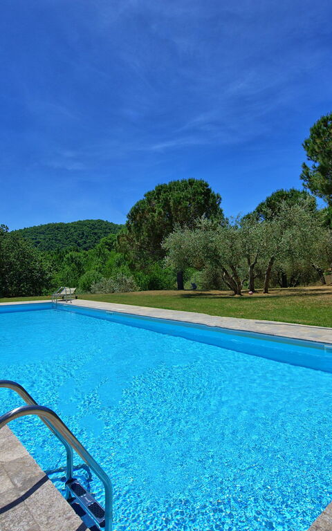 Casa Olivia: Schwimmbad