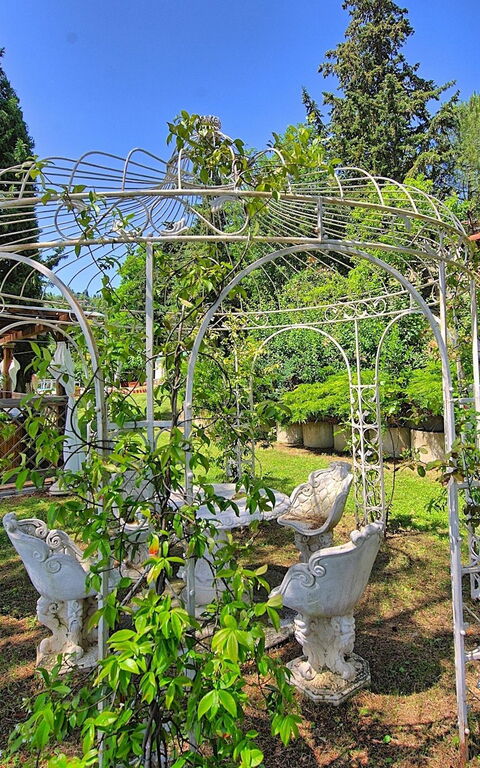 Villa Luciano: Garten