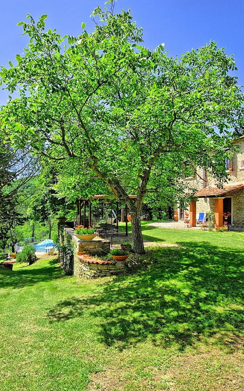 Villa Luciano: Garten