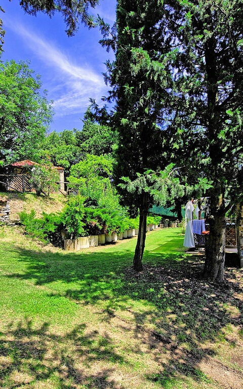 Villa Luciano: Garten