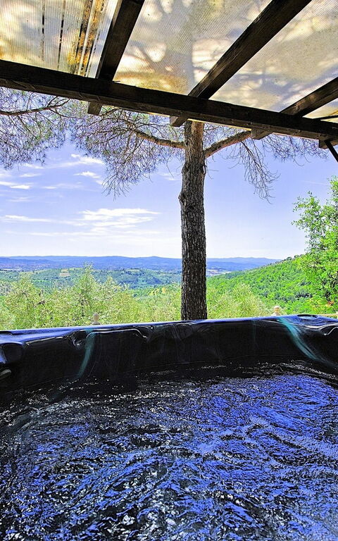 Villa Luciano: Schwimmbad