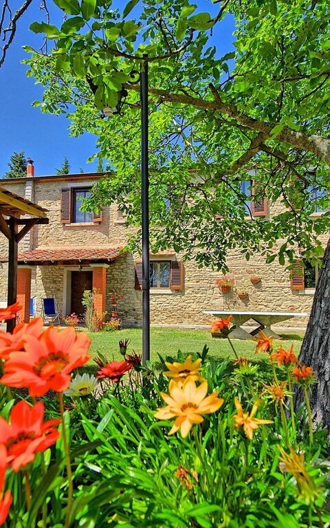 Villa Luciano: Garten