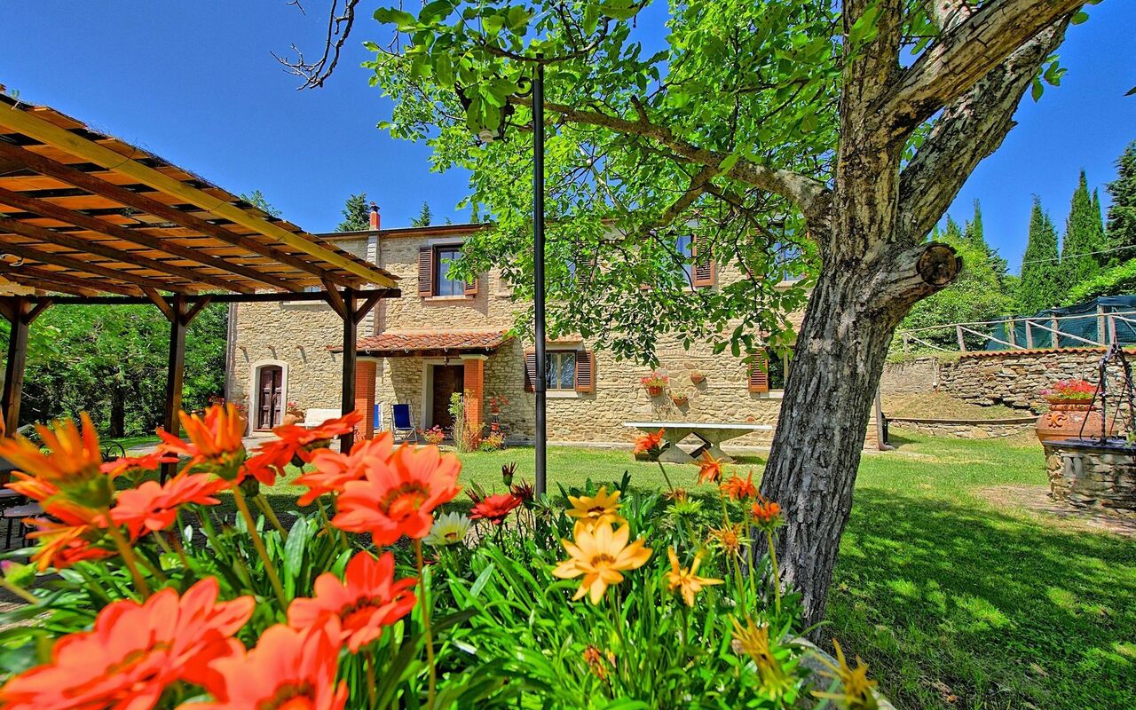 Villa Luciano: Garten