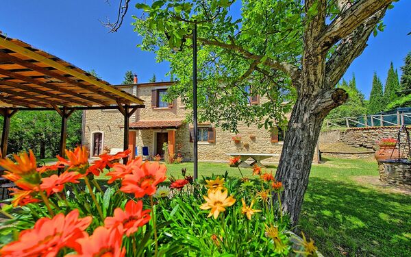 Villa Luciano: Garten