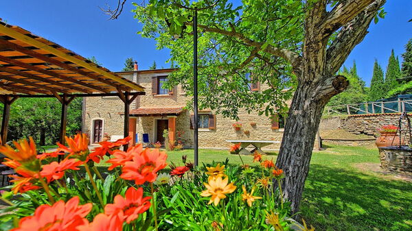 Villa Luciano: Garten