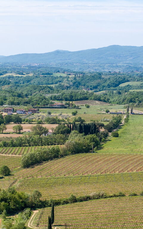Villa Morandi: Ansichten, Draussen