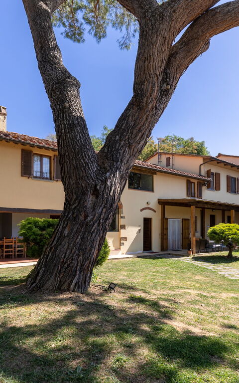 Villa Morandi: Außen, Draussen, Garten