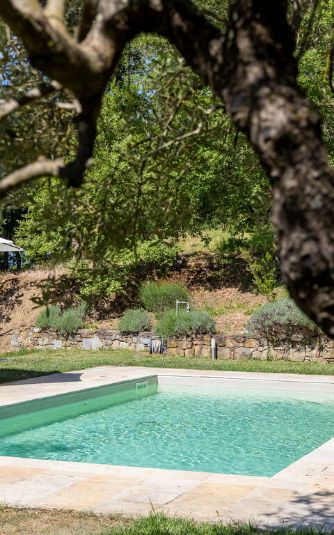 Villa Morandi: Ansichten, Draussen, Garten, Schwimmbad