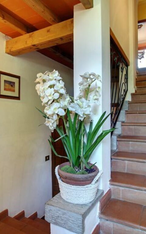 Villa Acacia: Anderer Raum