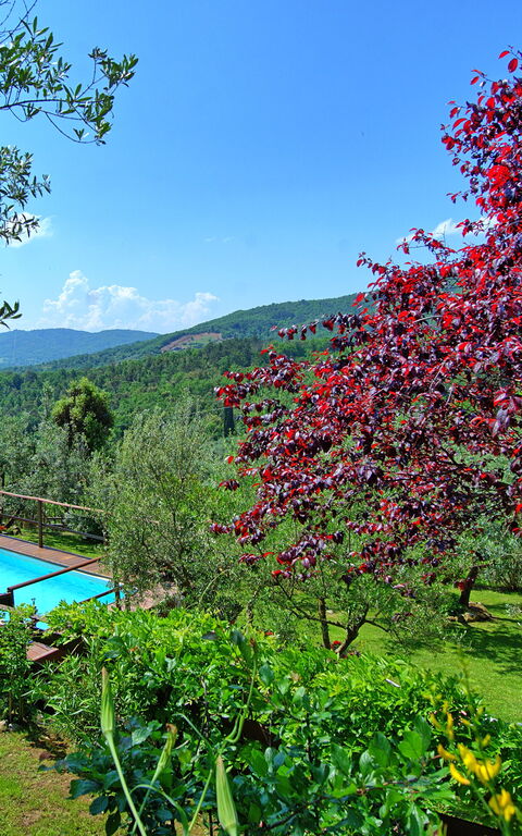 La Ruota: Ansichten, Draussen, Schwimmbad