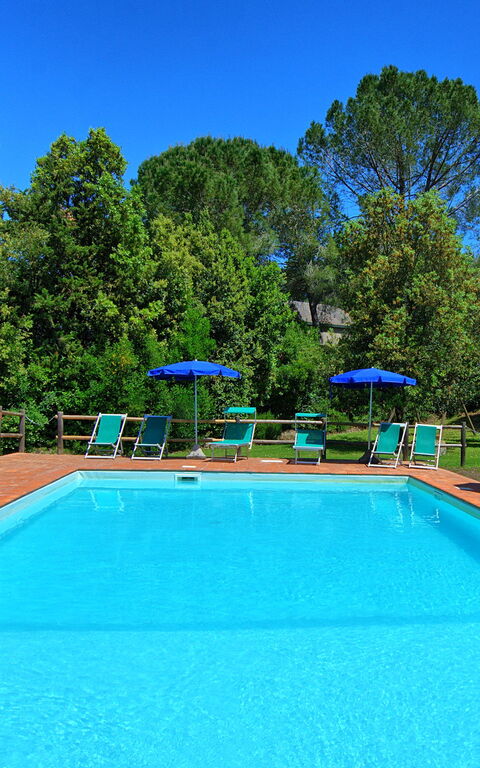 Villa Picchio: Draussen, Schwimmbad