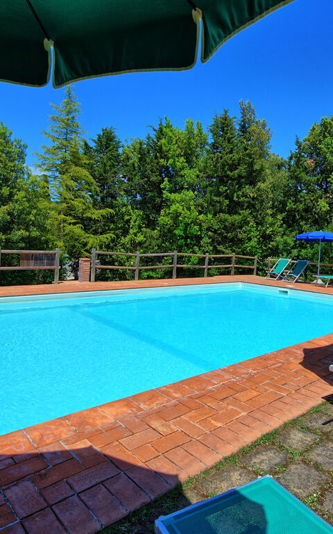 Villa Picchio: Draussen, Schwimmbad