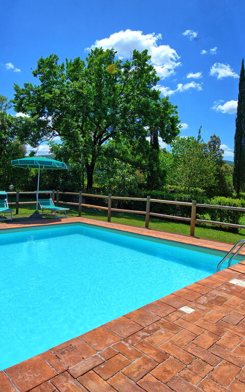 Villa Picchio: Außen, Draussen, Schwimmbad