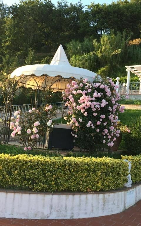 Villa Sophia: Garten