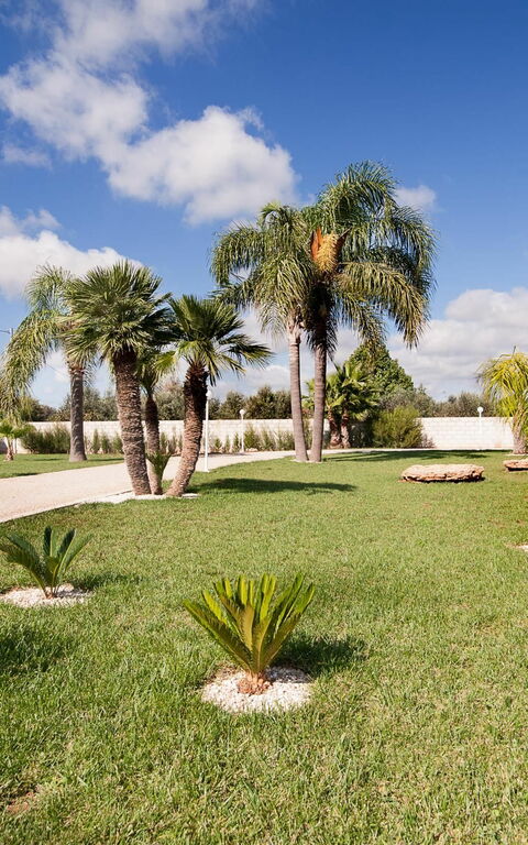 Meadow Luxury Villa: Draussen, Garten