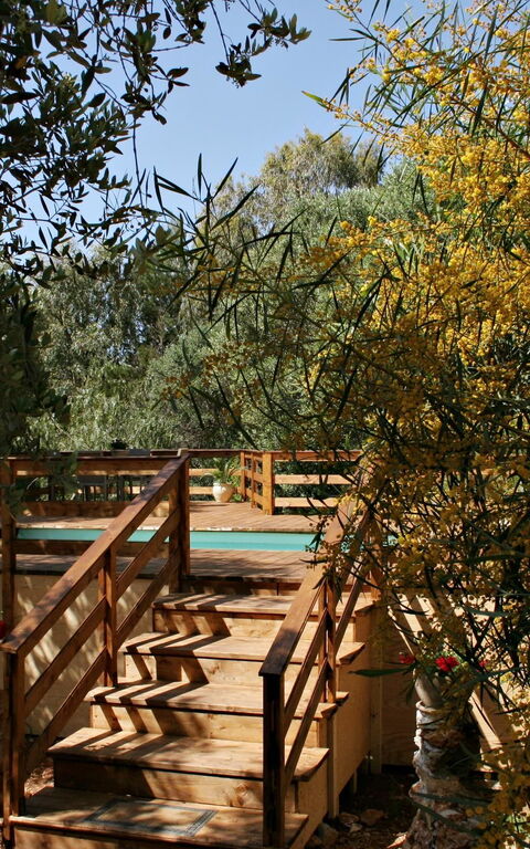 Villa Serena Maria: Draussen, Garten