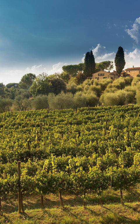 Villa Poggiospinoso: Ansichten