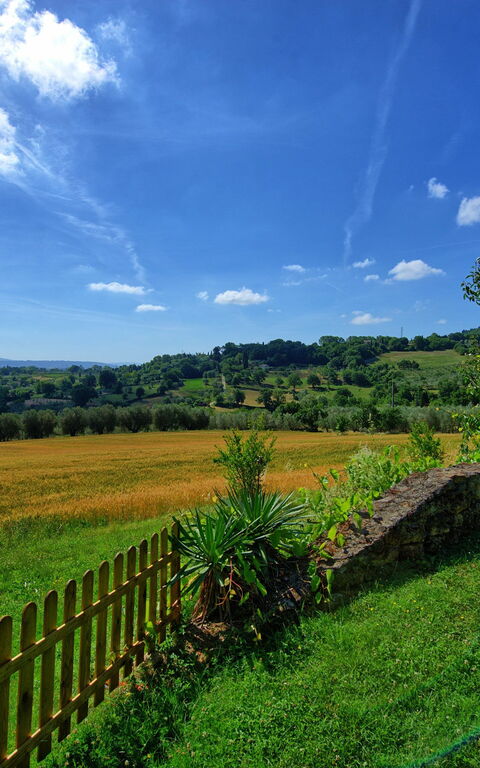 Villa Sarteano: Garten