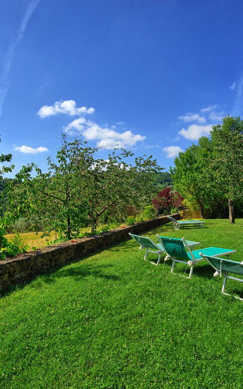 Villa Sarteano: Garten