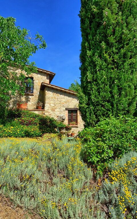 Villa Sarteano: Außen, Garten