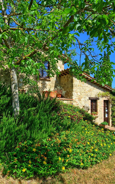 Villa Sarteano: Garten